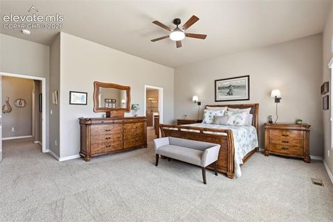 Tiny photo for 2075 Ever Red Court, Colorado Springs, CO 80921 (MLS # 9027556)