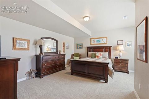 Tiny photo for 2075 Ever Red Court, Colorado Springs, CO 80921 (MLS # 9027556)