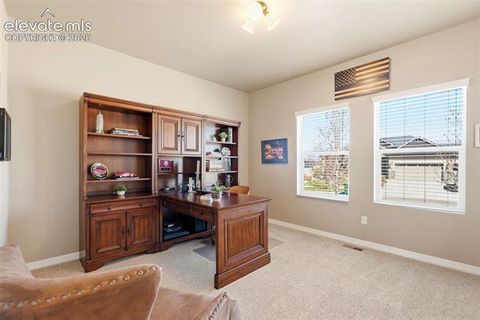 Tiny photo for 2075 Ever Red Court, Colorado Springs, CO 80921 (MLS # 9027556)