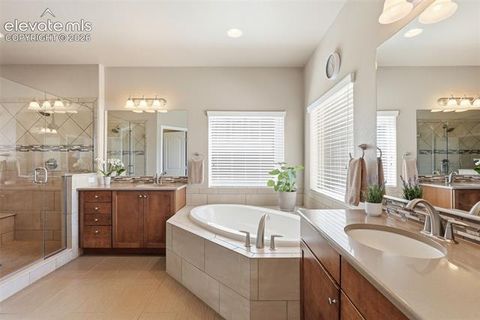 Tiny photo for 2075 Ever Red Court, Colorado Springs, CO 80921 (MLS # 9027556)
