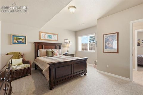 Tiny photo for 2075 Ever Red Court, Colorado Springs, CO 80921 (MLS # 9027556)