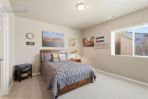 Tiny photo for 2075 Ever Red Court, Colorado Springs, CO 80921 (MLS # 9027556)