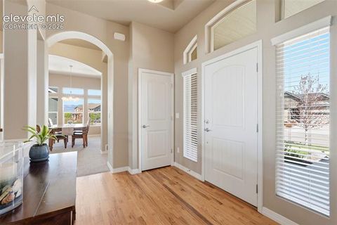 Tiny photo for 2075 Ever Red Court, Colorado Springs, CO 80921 (MLS # 9027556)