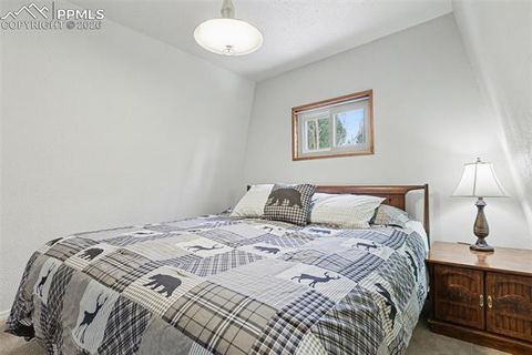 Tiny photo for 76 Pine Drive, Woodland Park, CO 80863 (MLS # 1373129)
