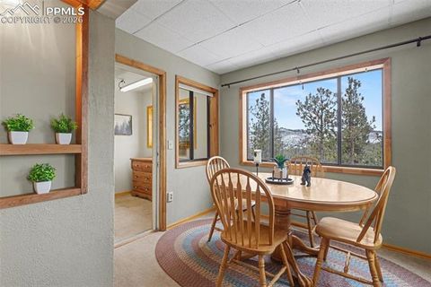 Tiny photo for 76 Pine Drive, Woodland Park, CO 80863 (MLS # 1373129)
