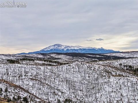 Tiny photo for 76 Pine Drive, Woodland Park, CO 80863 (MLS # 1373129)