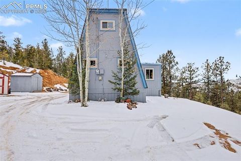 Tiny photo for 76 Pine Drive, Woodland Park, CO 80863 (MLS # 1373129)