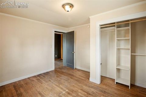 Tiny photo for 205 N Laurel Street, Woodland Park, CO 80863 (MLS # 7416378)