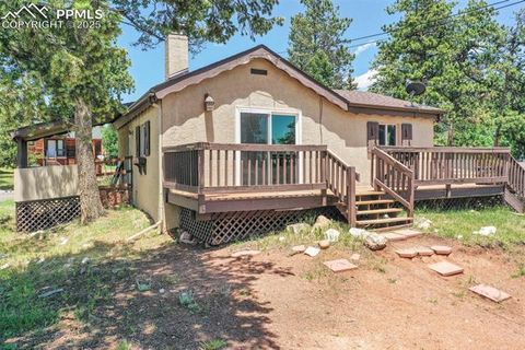 Tiny photo for 205 N Laurel Street, Woodland Park, CO 80863 (MLS # 7416378)
