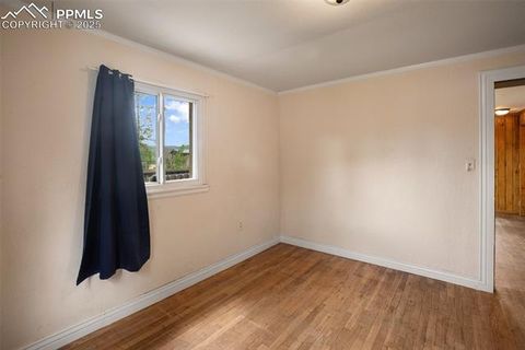 Tiny photo for 205 N Laurel Street, Woodland Park, CO 80863 (MLS # 7416378)