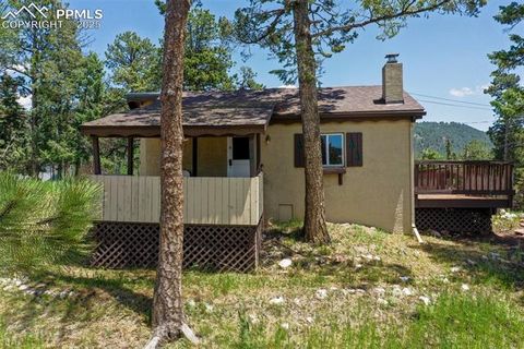 Photo of 205 N Laurel Street, Woodland Park, CO 80863 (MLS # 7416378)