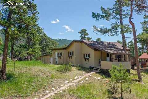 Tiny photo for 205 N Laurel Street, Woodland Park, CO 80863 (MLS # 7416378)