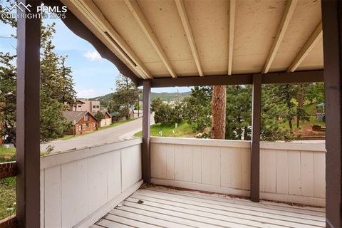 Tiny photo for 205 N Laurel Street, Woodland Park, CO 80863 (MLS # 7416378)