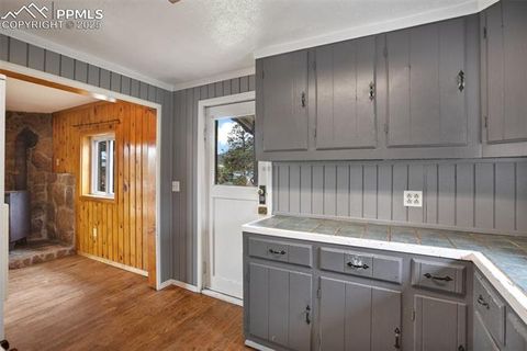 Tiny photo for 205 N Laurel Street, Woodland Park, CO 80863 (MLS # 7416378)