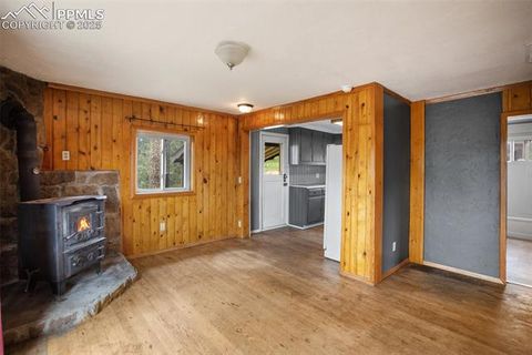 Tiny photo for 205 N Laurel Street, Woodland Park, CO 80863 (MLS # 7416378)