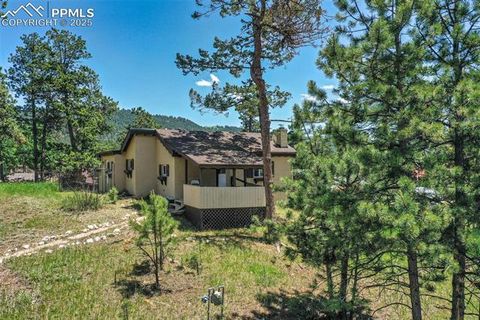 Tiny photo for 205 N Laurel Street, Woodland Park, CO 80863 (MLS # 7416378)