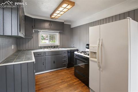 Tiny photo for 205 N Laurel Street, Woodland Park, CO 80863 (MLS # 7416378)