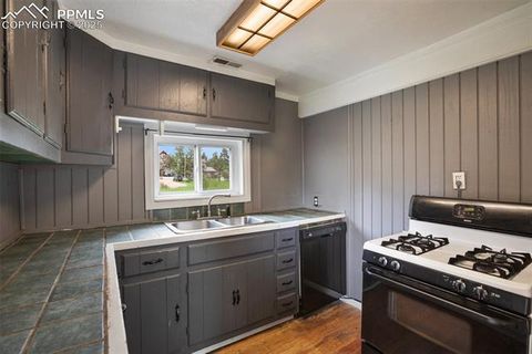 Tiny photo for 205 N Laurel Street, Woodland Park, CO 80863 (MLS # 7416378)