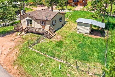Tiny photo for 205 N Laurel Street, Woodland Park, CO 80863 (MLS # 7416378)