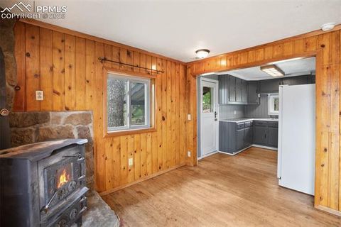 Tiny photo for 205 N Laurel Street, Woodland Park, CO 80863 (MLS # 7416378)