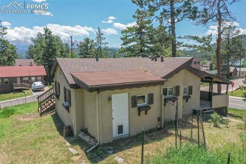 Tiny photo for 205 N Laurel Street, Woodland Park, CO 80863 (MLS # 7416378)