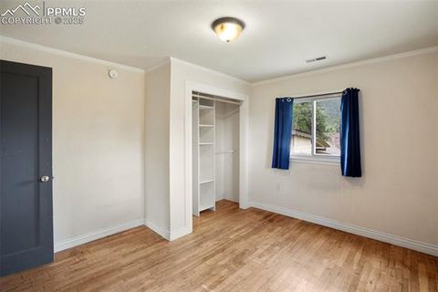 Tiny photo for 205 N Laurel Street, Woodland Park, CO 80863 (MLS # 7416378)