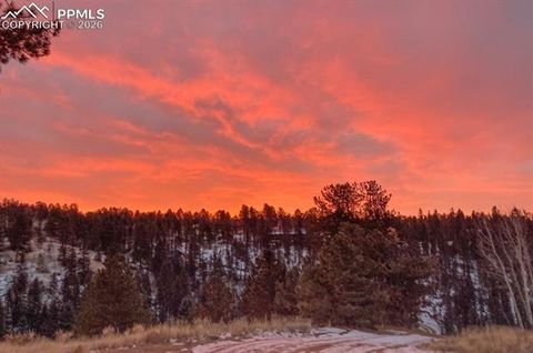 Tiny photo for 79 Beaver Creek Circle, Florissant, CO 80816 (MLS # 3616855)