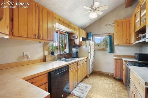 Tiny photo for 79 Beaver Creek Circle, Florissant, CO 80816 (MLS # 3616855)