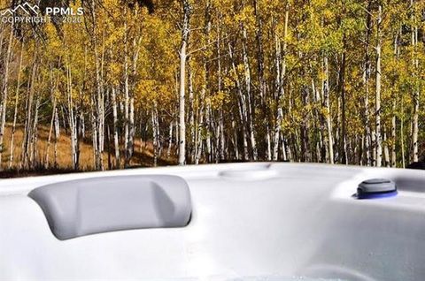 Tiny photo for 79 Beaver Creek Circle, Florissant, CO 80816 (MLS # 3616855)