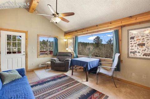 Tiny photo for 79 Beaver Creek Circle, Florissant, CO 80816 (MLS # 3616855)