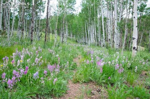 Tiny photo for 79 Beaver Creek Circle, Florissant, CO 80816 (MLS # 3616855)