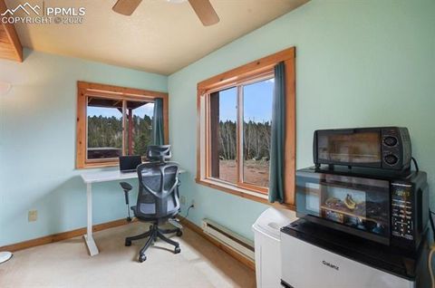 Tiny photo for 79 Beaver Creek Circle, Florissant, CO 80816 (MLS # 3616855)