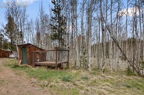 Tiny photo for 79 Beaver Creek Circle, Florissant, CO 80816 (MLS # 3616855)