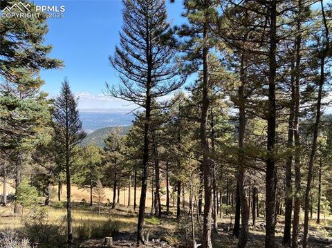 Photo of 342 Ponderosa View, Manitou Springs, CO 80829 (MLS # 8097895)