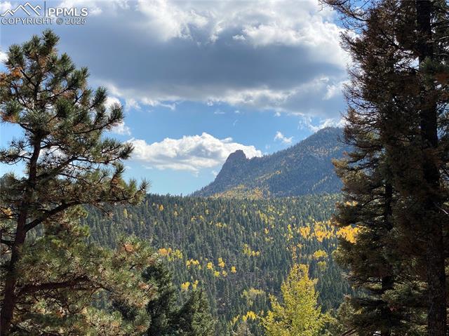 342 Ponderosa View