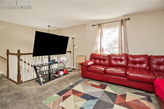 3920 Morley Drive