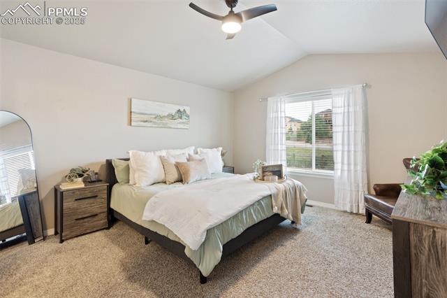 1216 Night Blue Circle