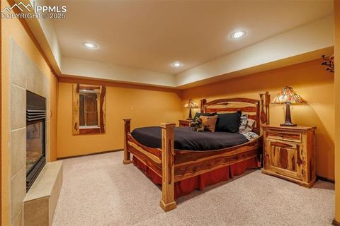 Tiny photo for 100 Yale Place, Woodland Park, CO 80863 (MLS # 1695350)