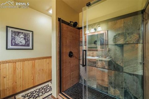 Tiny photo for 100 Yale Place, Woodland Park, CO 80863 (MLS # 1695350)