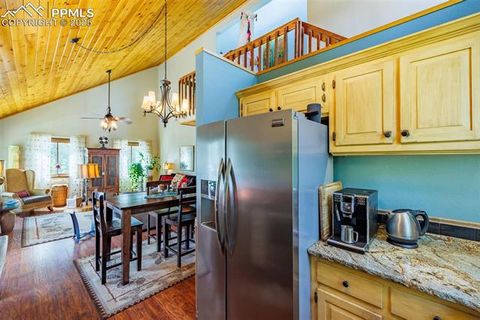 Tiny photo for 100 Yale Place, Woodland Park, CO 80863 (MLS # 1695350)
