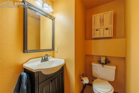Tiny photo for 100 Yale Place, Woodland Park, CO 80863 (MLS # 1695350)