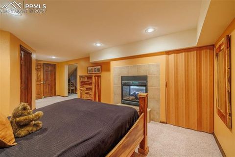 Tiny photo for 100 Yale Place, Woodland Park, CO 80863 (MLS # 1695350)