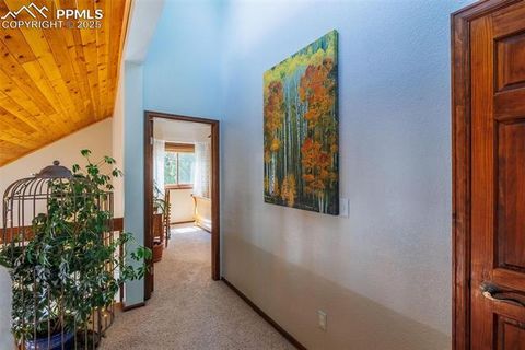 Tiny photo for 100 Yale Place, Woodland Park, CO 80863 (MLS # 1695350)