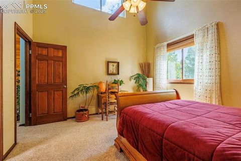 Tiny photo for 100 Yale Place, Woodland Park, CO 80863 (MLS # 1695350)