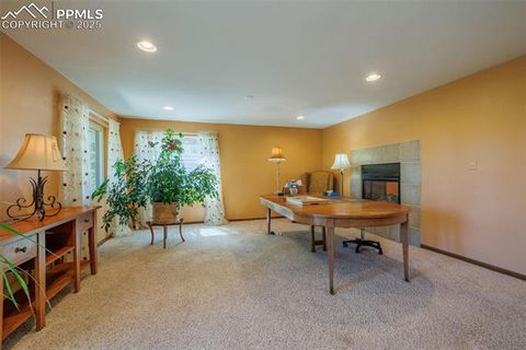 Tiny photo for 100 Yale Place, Woodland Park, CO 80863 (MLS # 1695350)