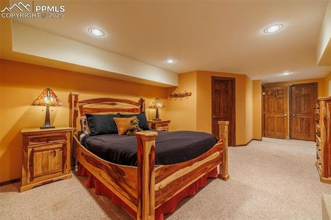 Tiny photo for 100 Yale Place, Woodland Park, CO 80863 (MLS # 1695350)