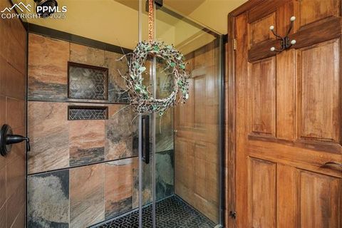 Tiny photo for 100 Yale Place, Woodland Park, CO 80863 (MLS # 1695350)