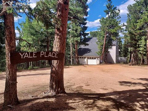 Tiny photo for 100 Yale Place, Woodland Park, CO 80863 (MLS # 1695350)
