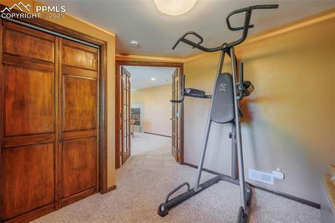 Tiny photo for 100 Yale Place, Woodland Park, CO 80863 (MLS # 1695350)