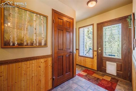 Tiny photo for 100 Yale Place, Woodland Park, CO 80863 (MLS # 1695350)